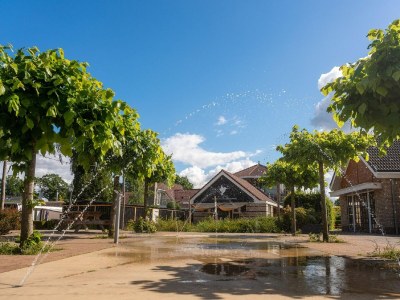 Holiday park Villa in den Niederlanden mit großem Garten - Outdoor photo 31