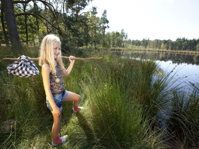 Holiday park Forest Glamping near Emmen - Environment photo 26