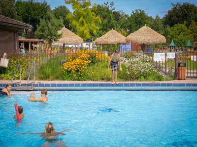 Holiday park Safari Tent in Netherlands with Luxury Comfort - Outdoor photo 17