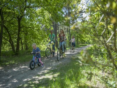 Holiday park Komfortabler Glamping-Aufenthalt - Environment photo 16