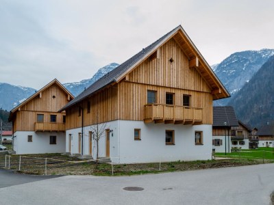 Holiday park Chalet in Obertraun nahe Dachstein in Dachstein - Salzkammergut - Holiday park
