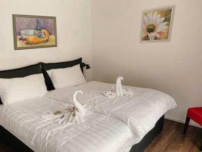 Holiday park Wohnung in Obertraun am Hallstättersee - Features photo 4