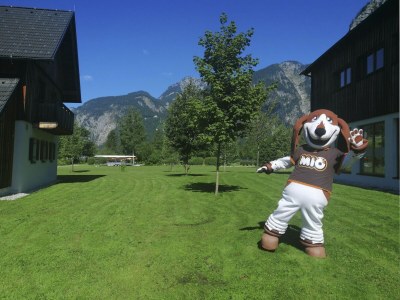 Holiday park Wohnung in Obertraun am Hallstättersee - Outdoor photo 37