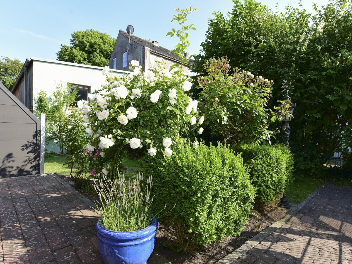 Holiday park Ferienwohnung in Wyk-Boldixum auf Foehr - Outdoor photo 2