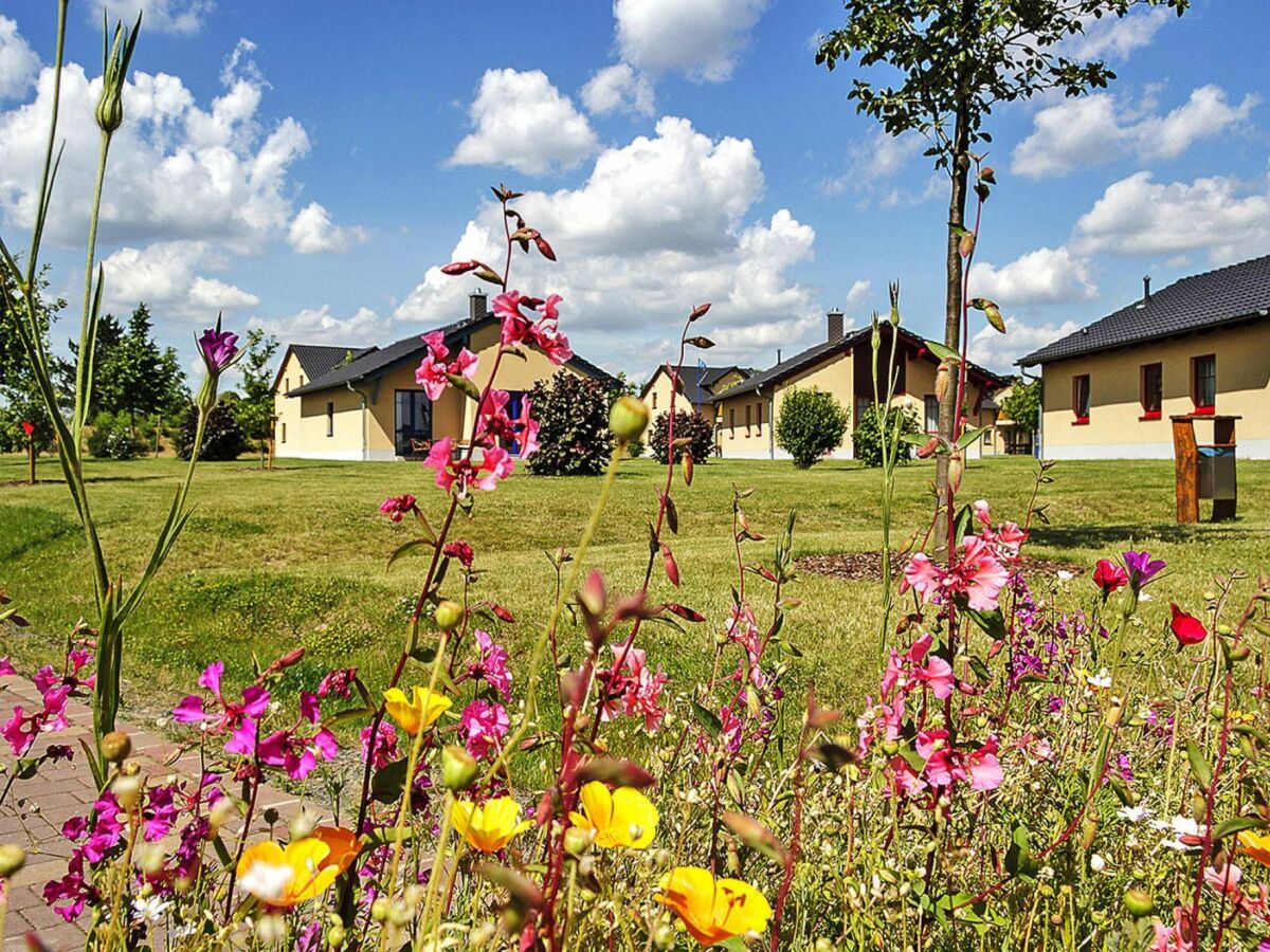 Holiday house Haus-Nr: DLS01001-FYA - Outdoor photo 5