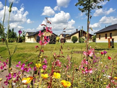 Holiday house Haus-Nr: DLS01001-FYA - Outdoor photo 5
