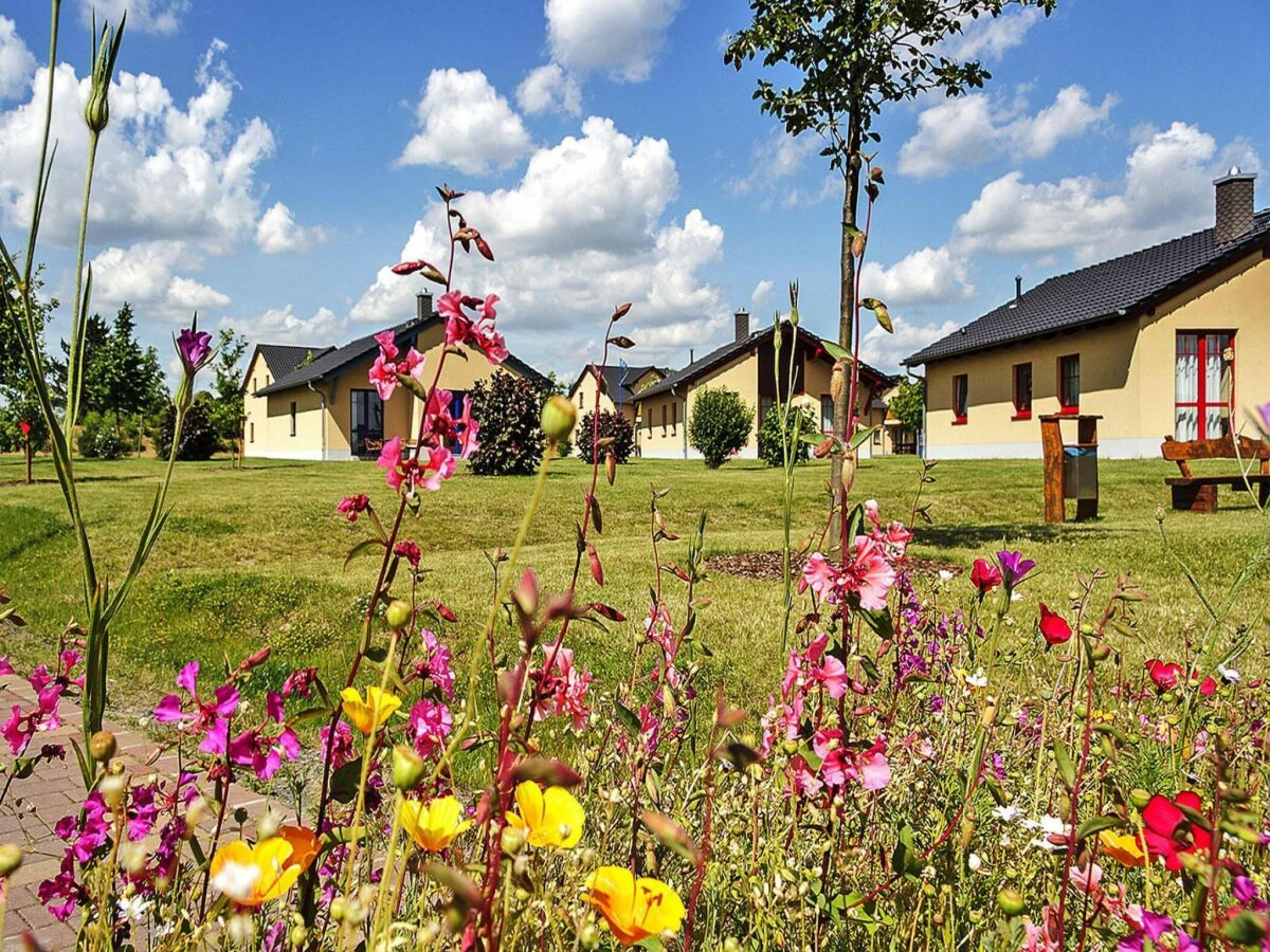 Holiday house Ferienhaus in Markkleeberg - Outdoor photo 4