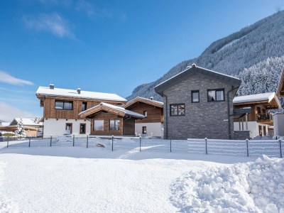 Holiday park Chalet in Wald im Pinzgau near Krimml Falls - Outdoor photo 25