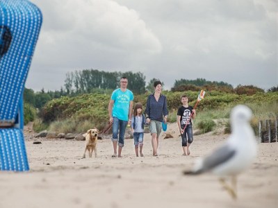 Holiday park Ferienhaus in Damp mit Meeresstrand - Outdoor photo 42