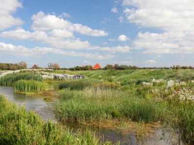Holiday park Chalet nahe Callantsoog Strand - Environment photo 15
