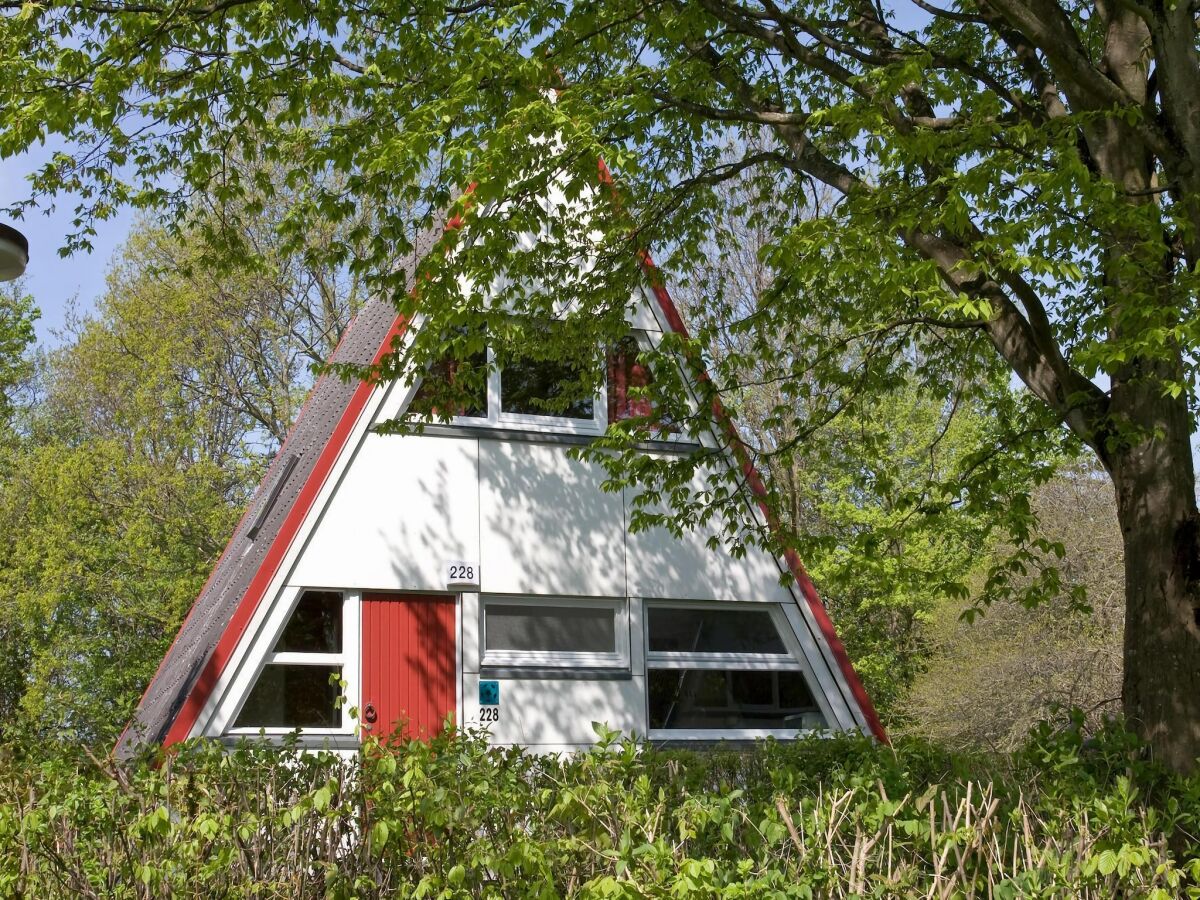 Holiday park Ferienhaus in Damp for 8 Personen - Outdoor photo 5