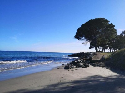 Holiday park Ferienhaus Moriani-Plage mit Pool - Environment photo 24