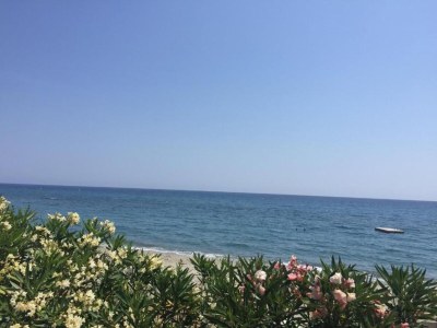 Holiday park Ferienhaus Moriani-Plage mit Pool - Environment photo 27