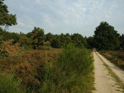 Holiday park Terraced Home in Netherlands near Veluwe - Environment photo 18