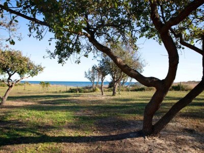 Holiday park Ferienhaus in Moriani-Plage am Strand - Environment photo 24