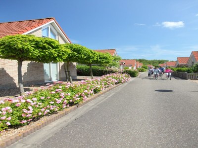 Holiday park Cozy Chalet Near Breskens Sea - Environment photo 7