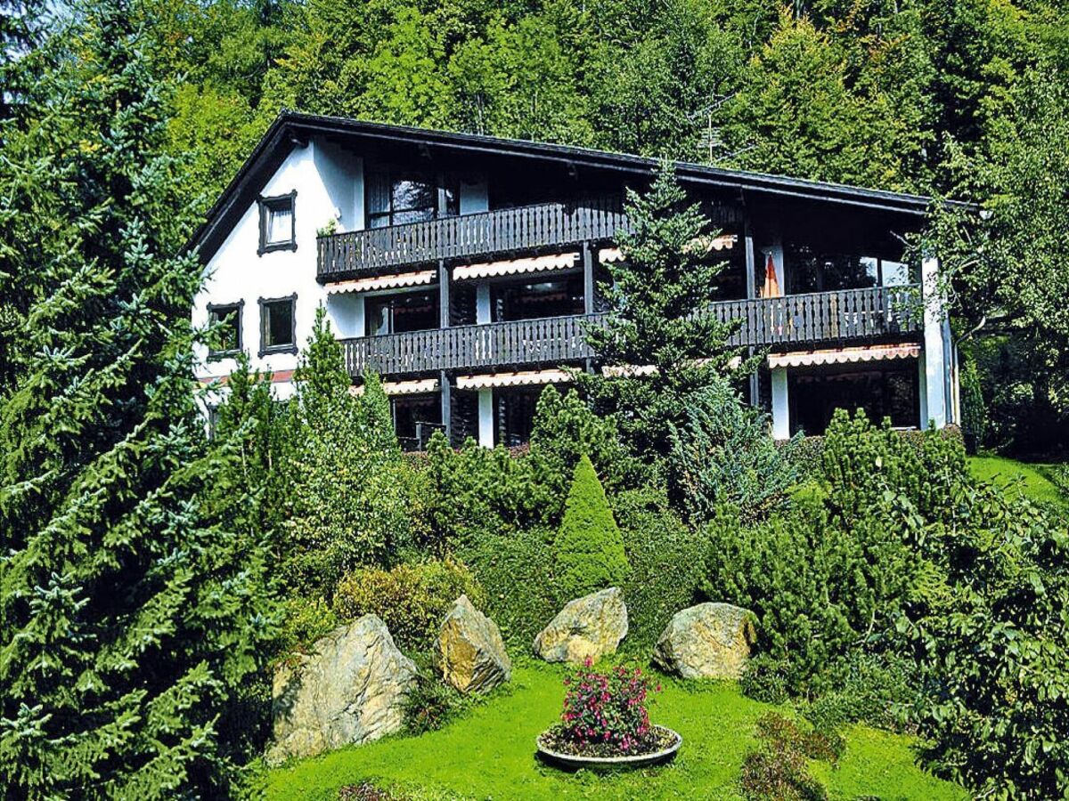 Apartment Ferienwohnung im Haus Schiefertal, Wieda