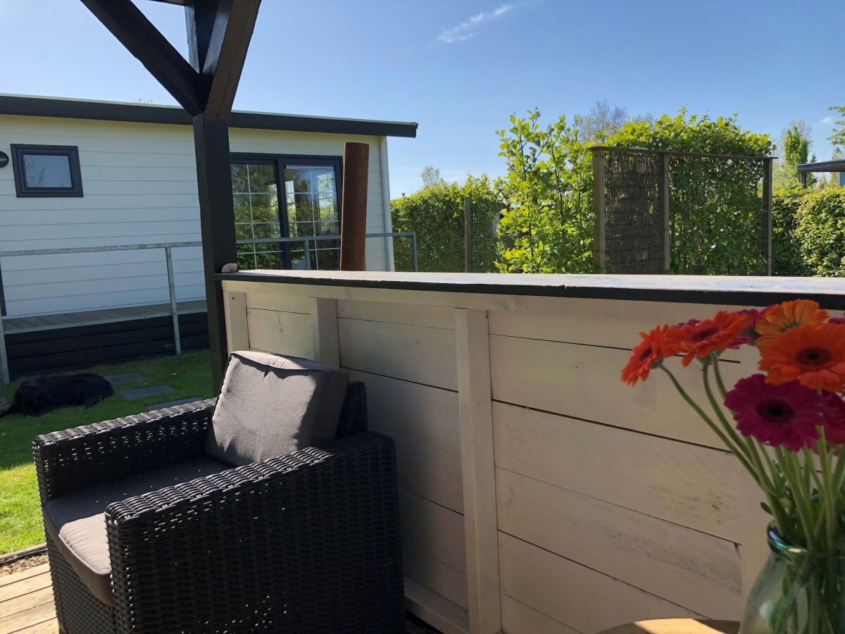 Holiday park Chalet in Wiringherlant near the Coast - Outdoor photo 3