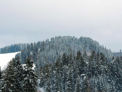 Apartment Wohnung in Altenau nahe Harzgebirge - Outdoor photo 7