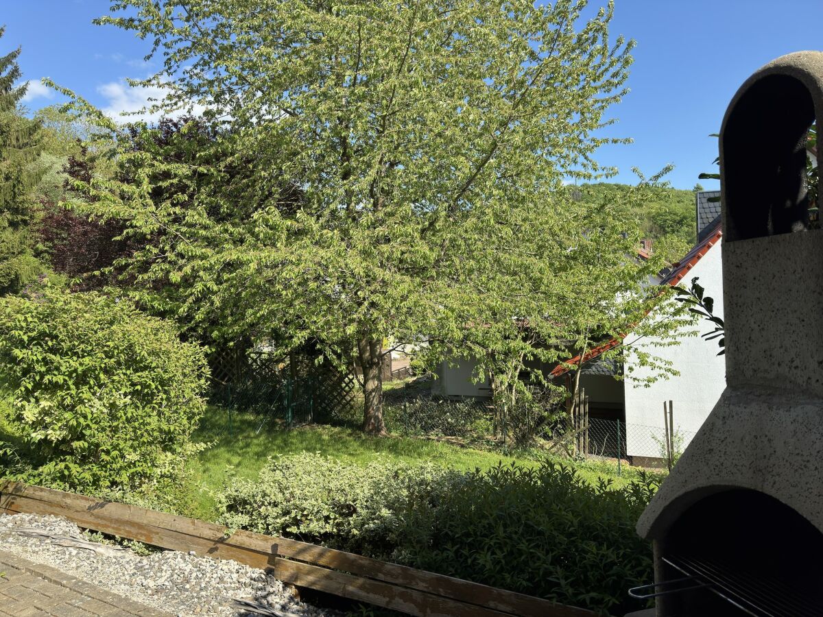 Holiday house Blockhaus in Bad Sachsa - Outdoor photo 4