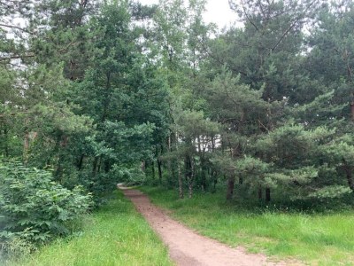 Holiday park Bungalow in Veluwe Nature Park Retreat - Environment photo 16