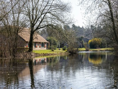 Holiday park Bungalow in Veluwe Nature Park Retreat - Environment photo 17