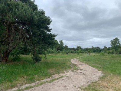 Holiday park Bungalow in Veluwe mit Infrarotsauna - Environment photo 15