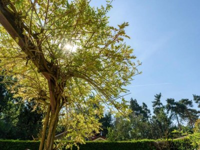 Holiday park Bungalow in Veluwe mit Infrarotsauna - Environment photo 19