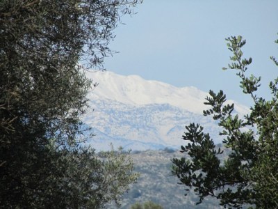 Villa Artemis - Environment photo 36