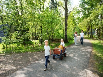 Holiday park Chalet in der Nähe von Wanderwegen und Wald - Outdoor photo 41