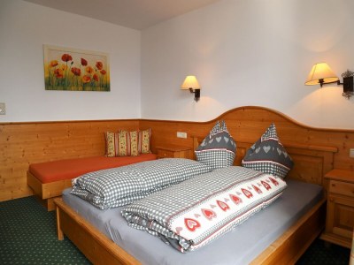 Apartment Apartment in Hochkrimml near Ski Slopes - Features photo 14