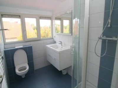 Holiday park Ferienhaus in Holland mit großem Garten - Features photo 11