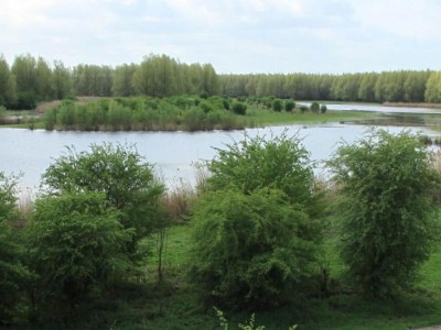 Holiday park Wolderwijd Lake Glamping Tent - Environment photo 18