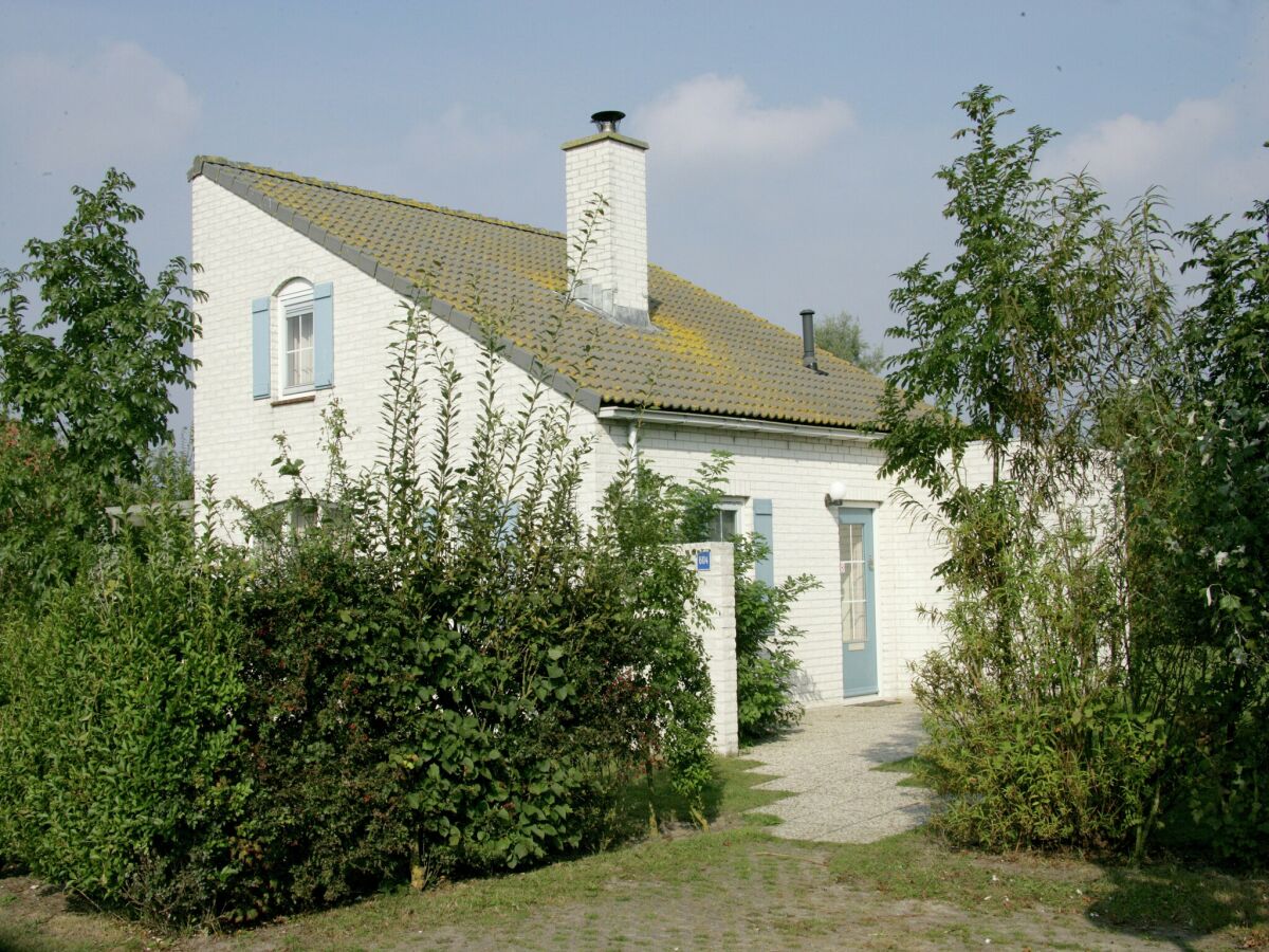 Holiday park Chalet in Texel near Dunes & Water - Outdoor photo 5