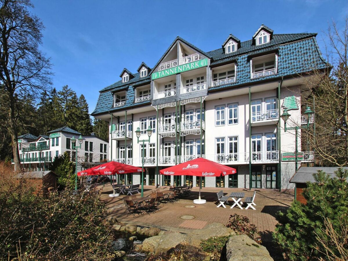 Holiday park Wohnung in Tanne mit einem gemeinsamen Pool - Outdoor photo 3