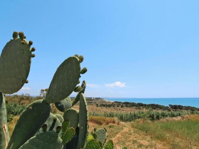 Holiday park Apartment in Sicily near Sandy Beach - Environment photo 18