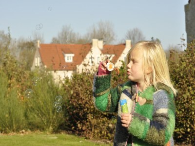 Holiday park Villa in Texel with Luxurious Comfort - Environment photo 20