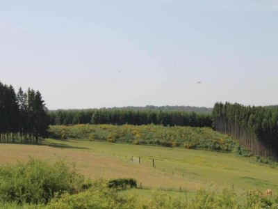 Holiday park Reetgedeckte Villa im Nationalpark - Environment photo 15