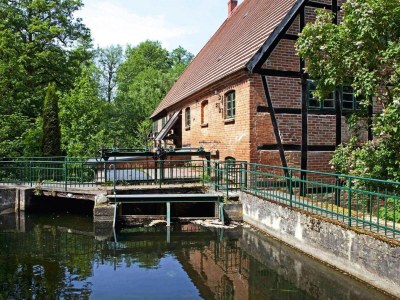 Holiday house Wasserturm in Kuchelmiß - Outdoor photo 3
