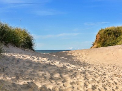 Holiday park Holiday Home on Texel Island with Terrace - Environment photo 17