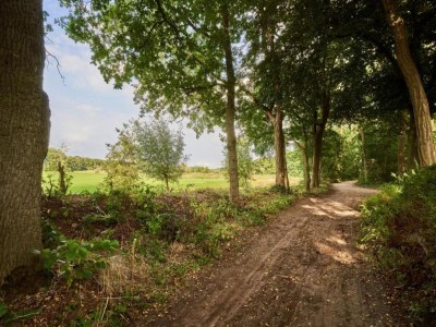 Holiday park Safari-Zelt nahe De Biesbosch & Breda - Environment photo 10