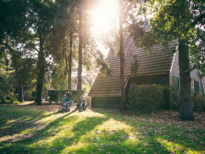 Holiday park Ferienhaus nahe Biesbosch Nationalpark - Environment photo 15