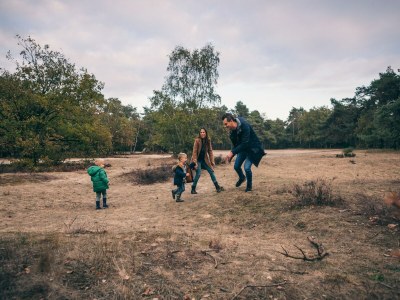 Holiday park Ferienhaus nahe Biesbosch Nationalpark - Environment photo 19
