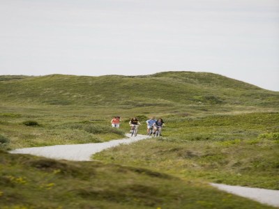 Holiday park Texel Escape with Balcony - Environment photo 45
