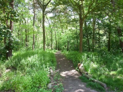 Holiday park Safari Tent near Biesbosch & Breda - Environment photo 18