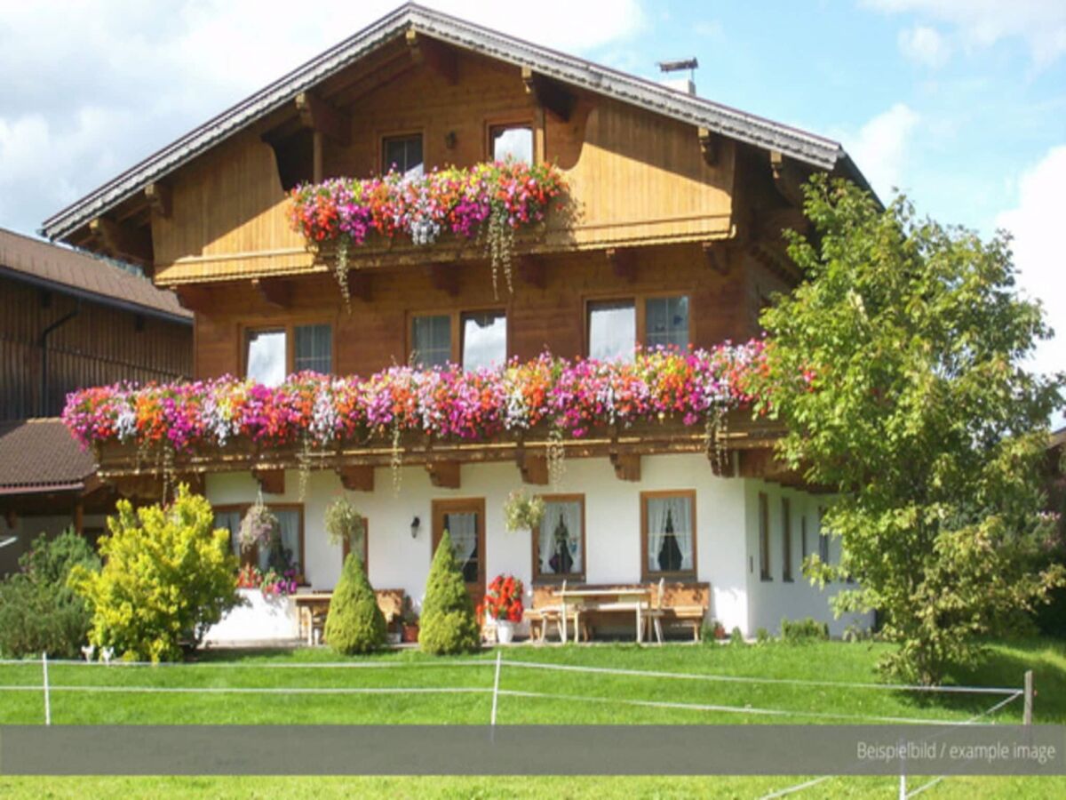 Apartment Apartment in Achensee with Stunning Lake Views