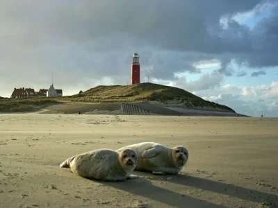 Holiday park Charming Thatched Villa in Texel - Environment photo 32