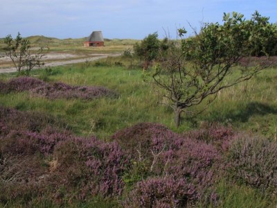 Holiday park Apartment in Friesland near the Coast - Environment photo 13