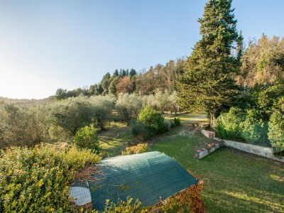 Holiday park Tuscan Haven with Pool - Environment photo 28