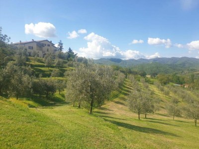 Holiday park Tuscan Vineyard Farm Stay - Environment photo 34
